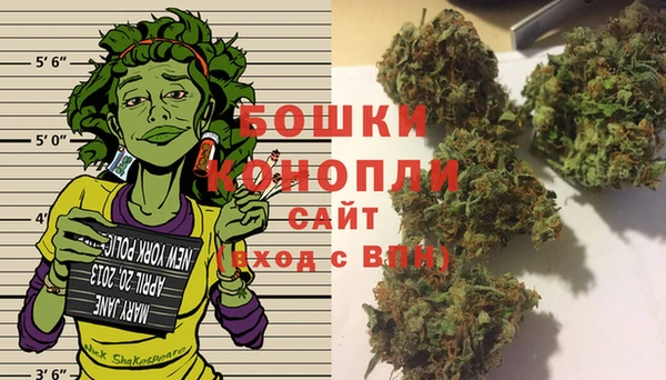 шишки Волоколамск