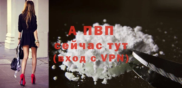 шишки Волоколамск